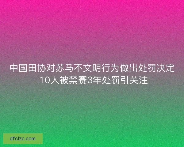 中国田协对苏马不文明行为做出处罚决定 10人被禁赛3年处罚引关注