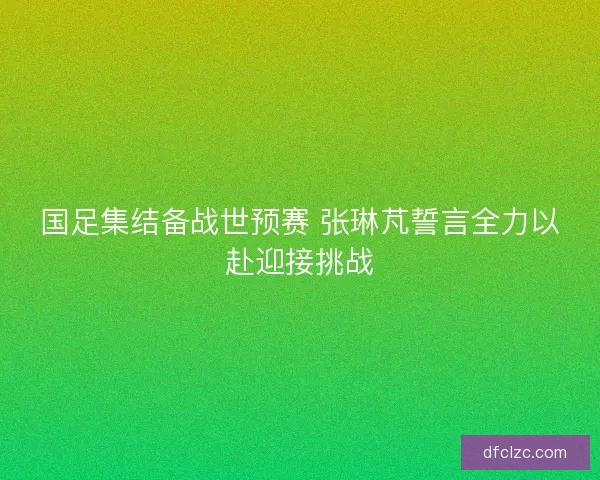 国足集结备战世预赛 张琳芃誓言全力以赴迎接挑战